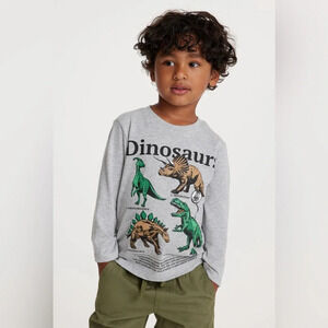 H&M 2pk long sleeved T shirt Dinosaur Themed 6x/7 and  5T/6 grey &mustard color